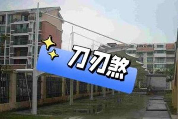 忻字的五行属性解析及其命理影响