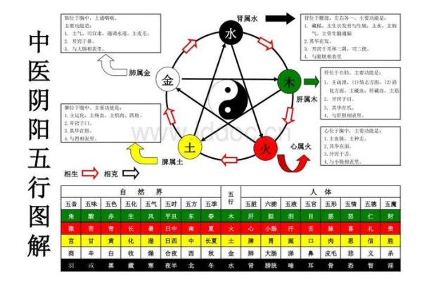 意字五行属性解析与应用分析