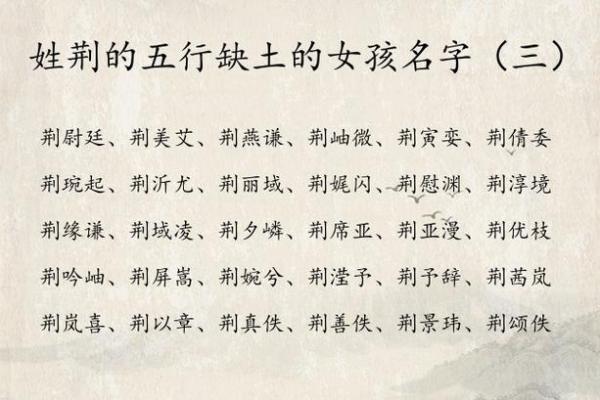 新字的五行属性解析及其对命名的影响