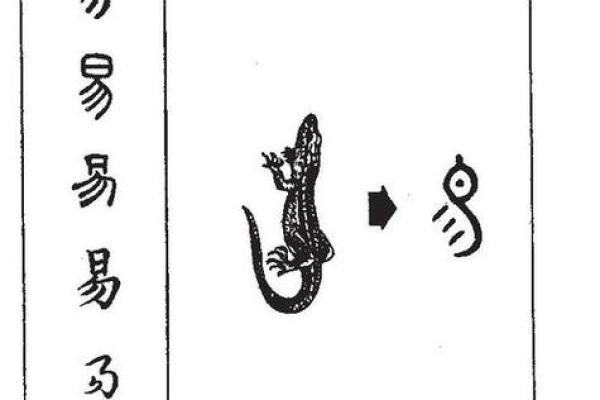 扬字五行属什么？解析扬字的五行属性与