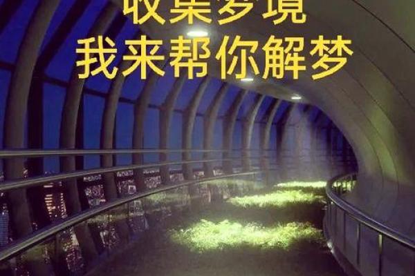 怀孕梦境的不同解读：心理与文化视角