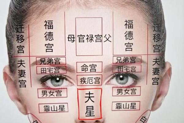 夫子智慧，手眼相女绝学大公开