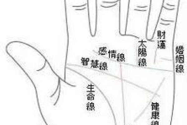 手相揭秘：太阳线藏匿的秘密，你了解多少？