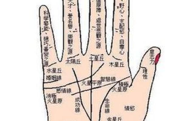 手相解码：揭秘手相好女人的神秘魅力