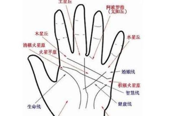 手相解码：揭秘手相好女人的神秘魅力
