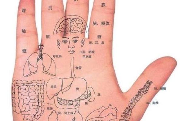 爆款手相解析：M型手相的男人到底有多旺！