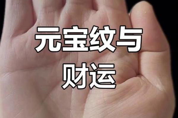 金库手相揭秘：财运亨通的秘密武器