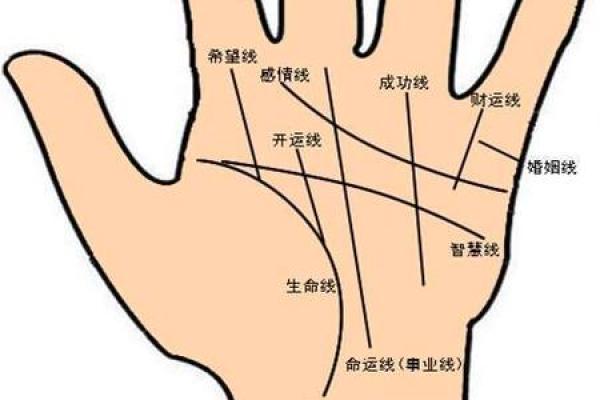 手相达人必备：轻松识别字茧，洞察人生运势！