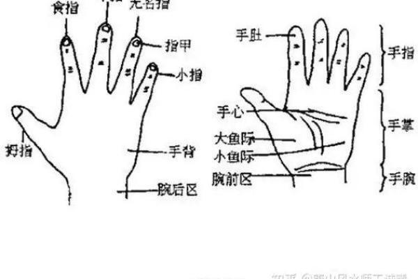 官场运势一掌掌握：手相解读官位高低