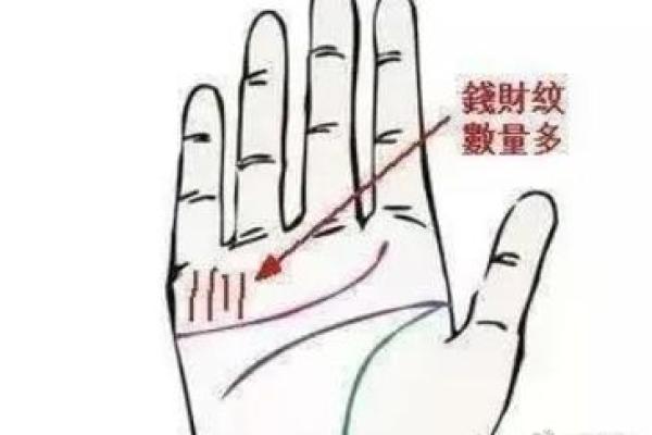 拳握富贵：手相中的财富密码大公开