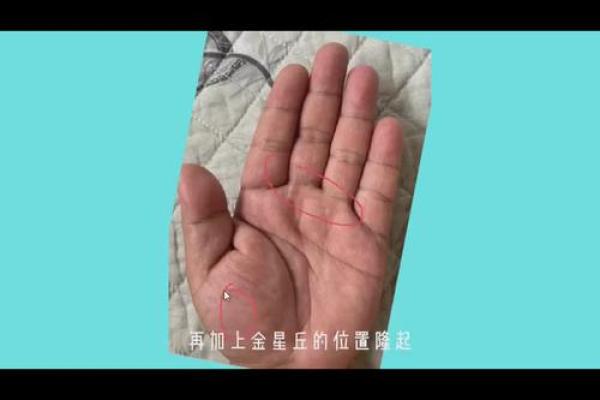 手指纹理揭示命运秘密
