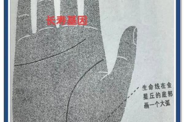 手相秘密大公开