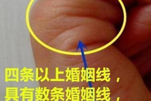 桃花手相揭秘：浪漫运势的秘密花园