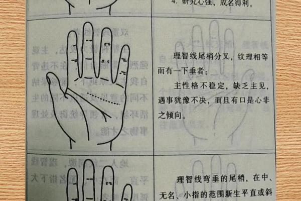 桃花手相揭秘：浪漫运势的秘密花园