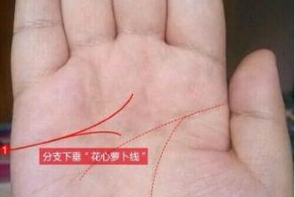 手中藏情，多情手相教你读懂内心世界