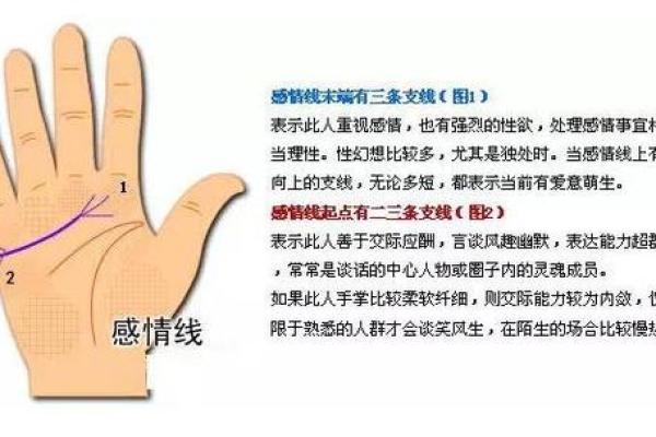 手中藏情，多情手相教你读懂内心世界