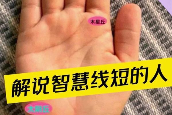 掌中乾坤：手相智慧线大全秘籍大揭秘