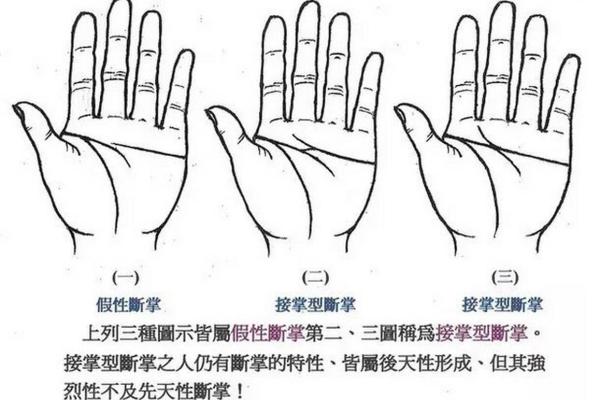 断掌手相男子：命运密码，揭秘成功之道