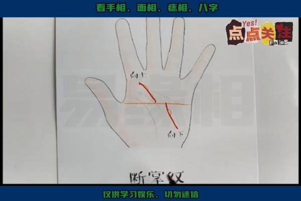 断掌手相男子：命运密码，揭秘成功之道
