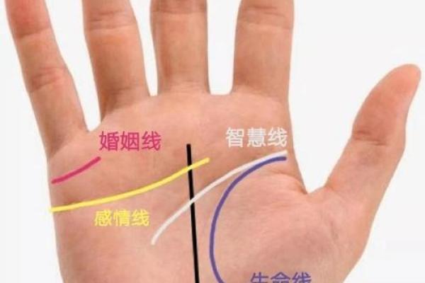 手相奥秘，纵纹解读人生轨迹