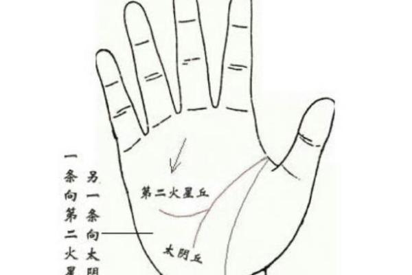 掌中运势：手相方格文，解锁你的命运秘密