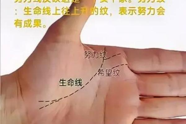 解锁手相秘密，发现你的希望线！