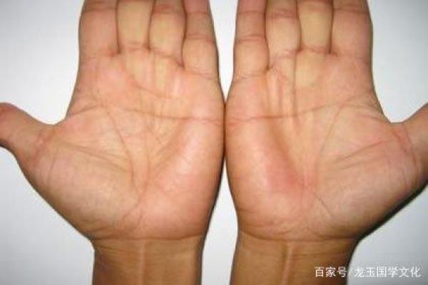 罗圈手相揭秘：命运转折点就在这里！