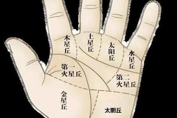 女人奉手相：解锁命运密码的神秘指南
