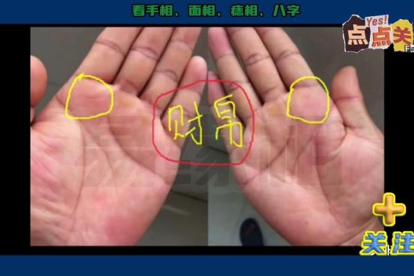 手相揭秘：凤纹运势，财富亨通的秘密通道