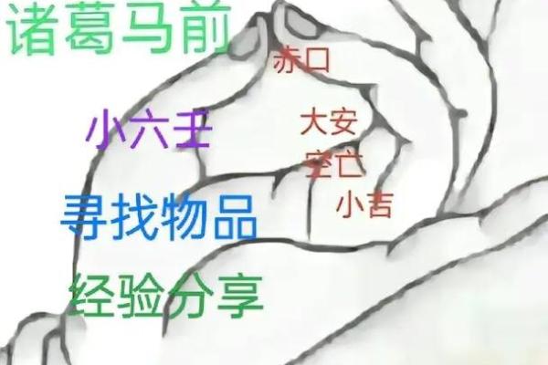 掌中乾坤，揭秘手相运势密码