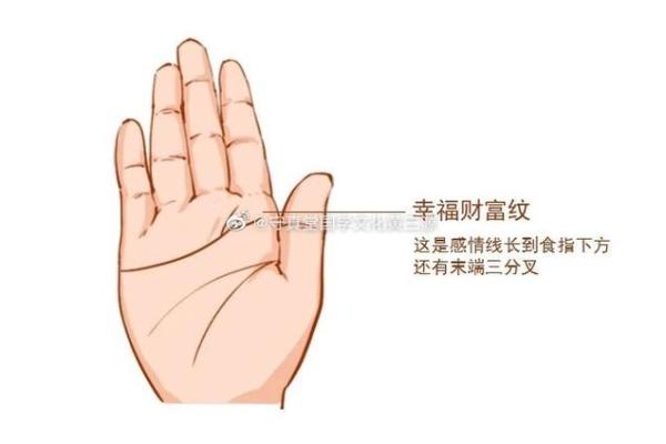 一手定乾坤，揭秘手相中的高考运势秘诀