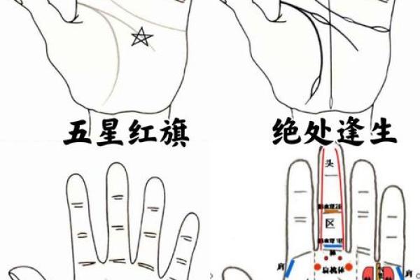 手指间流转财运：手相解读，让你的未来更清晰