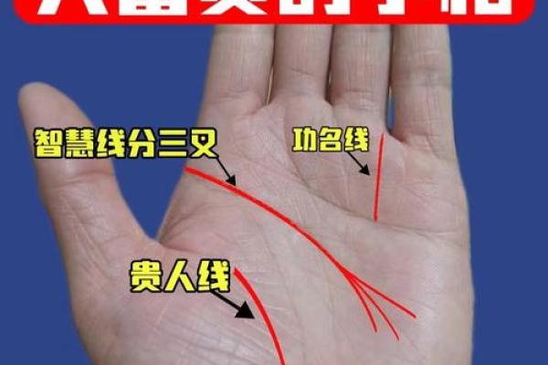手相中的龙凤胎征兆：双喜临门的神奇预兆！