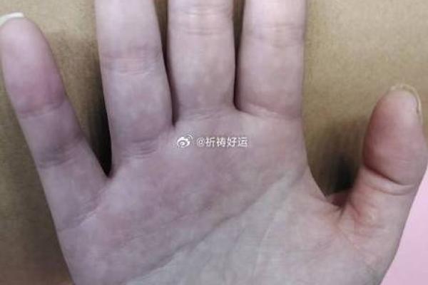 揭秘：手相奥秘，揭开命运的秘密，却从不泄露你的隐私！