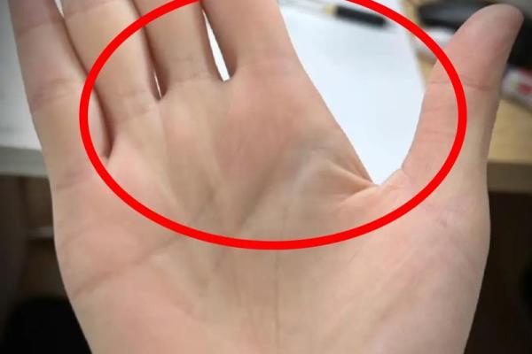 手相大师随身带，拍照就能占卜未来！