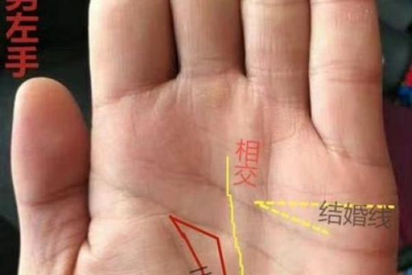 夫妻情深，手相揭秘幸福密码