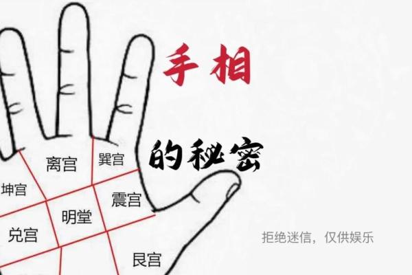 无杂纹掌纹，揭秘命运密码
