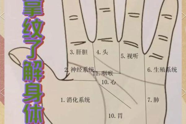 解锁命运密码：手相术的历史溯源