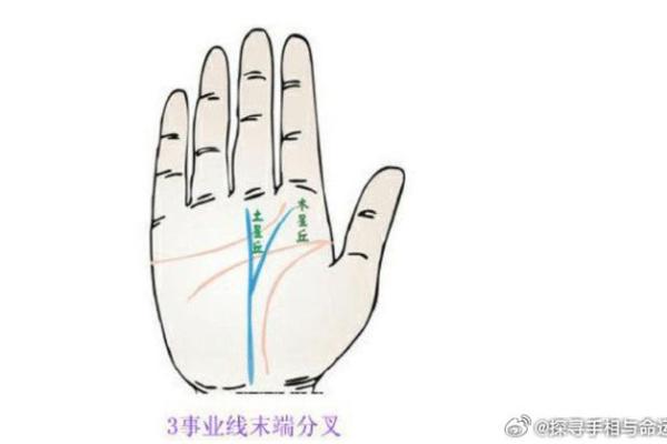 解锁命运密码：手相术的历史溯源