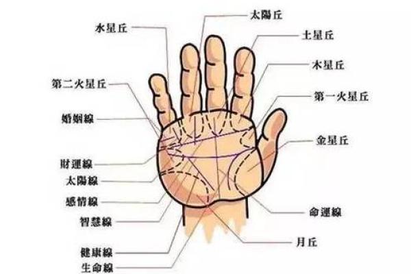 解读命运之谜，手相中的奥秘