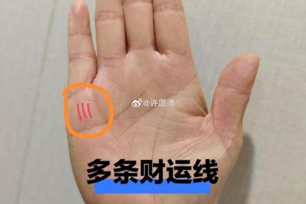 解锁手指密码，揭秘人生财运与事业走向！