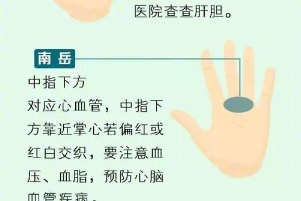 手相暗藏胃部秘密：教你轻松识别胃部问题