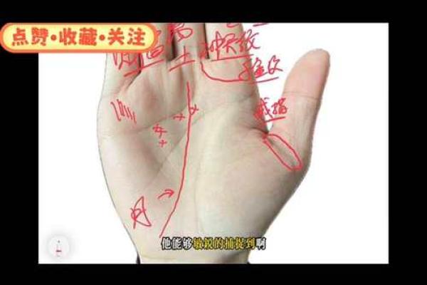 手上藏玄机！女性必看的手相运势解析