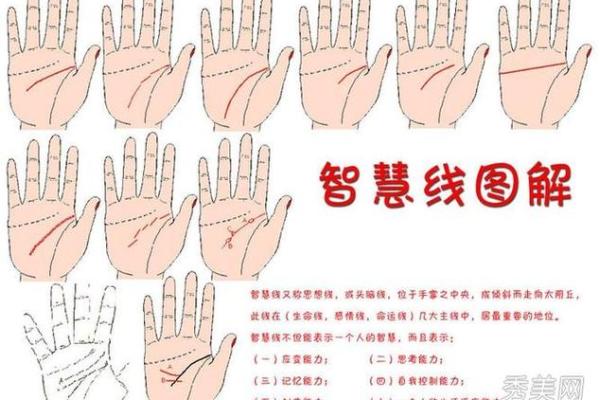 手上藏玄机！女性必看的手相运势解析