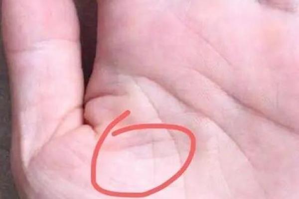 井纹解析：揭秘手相中的财富密码
