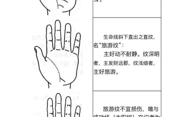 手相解读：探寻手掌上的秘密，预知未来！