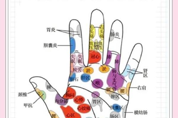 手相解读：探寻手掌上的秘密，预知未来！