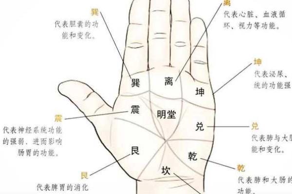 手相秘籍大公开：14线揭秘你的运势密码