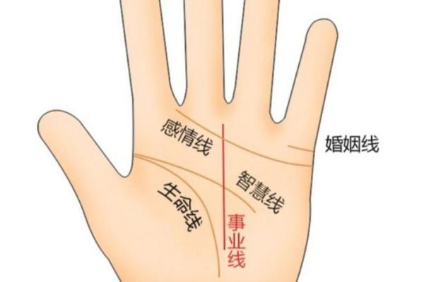 手相秘籍大公开：14线揭秘你的运势密码