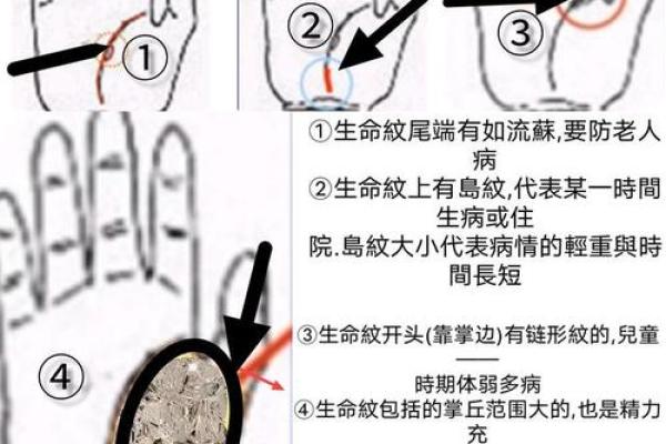 手中藏人生：一招手相看生命，洞察命运吉凶